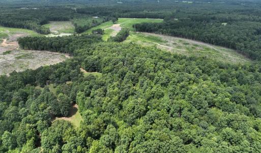 Photo #6 of 175 AC Tomlinson Road, Victoria, VA 175.0 acres