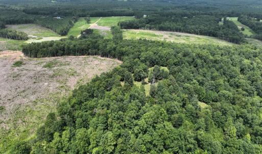 Photo #7 of 175 AC Tomlinson Road, Victoria, VA 175.0 acres