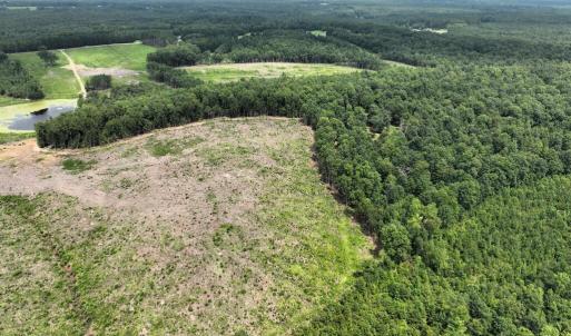 Photo #8 of 175 AC Tomlinson Road, Victoria, VA 175.0 acres