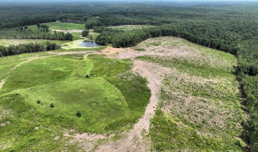 Photo #9 of 175 AC Tomlinson Road, Victoria, VA 175.0 acres