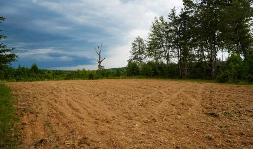Photo #10 of Sweden Fork Creek Lane, Chatham, VA 201.0 acres