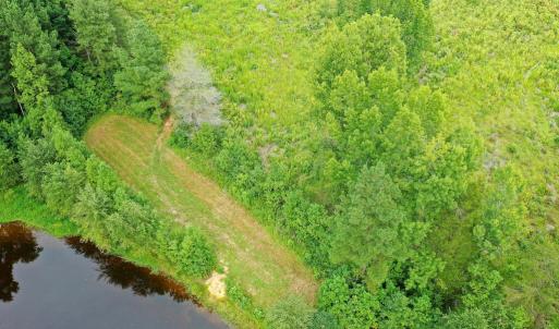 Photo #14 of Sweden Fork Creek Lane, Chatham, VA 201.0 acres