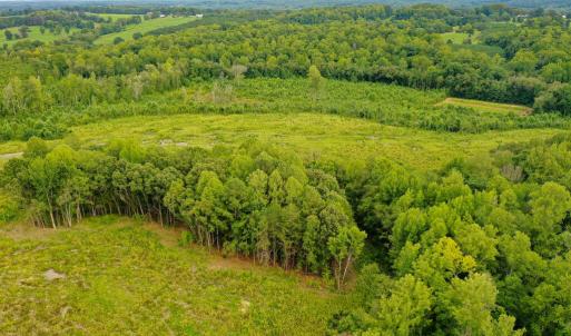 Photo #15 of Sweden Fork Creek Lane, Chatham, VA 201.0 acres