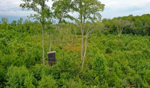 Photo #16 of Sweden Fork Creek Lane, Chatham, VA 201.0 acres