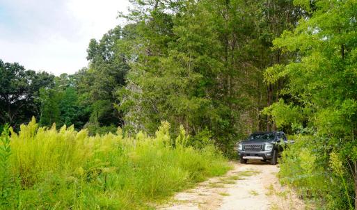 Photo #18 of Sweden Fork Creek Lane, Chatham, VA 201.0 acres
