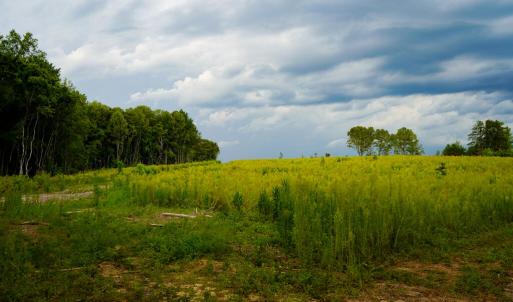 Photo #20 of Sweden Fork Creek Lane, Chatham, VA 201.0 acres