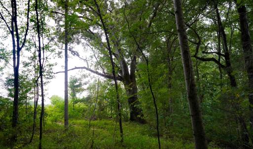 Photo #24 of Sweden Fork Creek Lane, Chatham, VA 201.0 acres