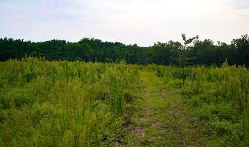 Photo #25 of Sweden Fork Creek Lane, Chatham, VA 201.0 acres