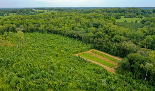 Photo #26 of Sweden Fork Creek Lane, Chatham, VA 201.0 acres