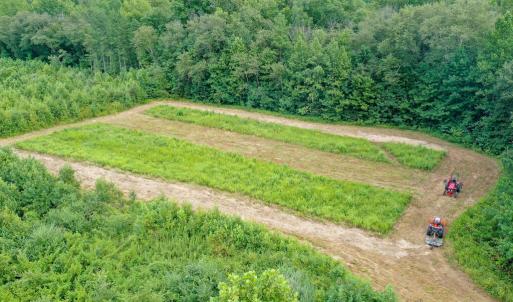 Photo #27 of Sweden Fork Creek Lane, Chatham, VA 201.0 acres