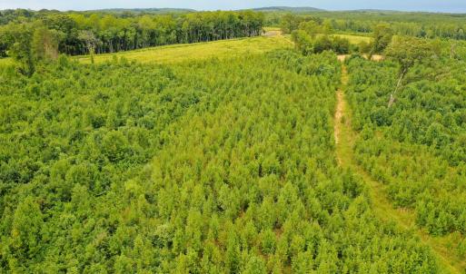 Photo #29 of Sweden Fork Creek Lane, Chatham, VA 201.0 acres