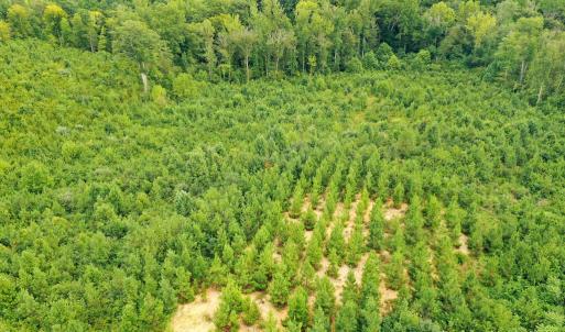 Photo #30 of Sweden Fork Creek Lane, Chatham, VA 201.0 acres