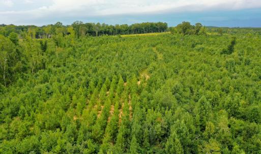 Photo #31 of Sweden Fork Creek Lane, Chatham, VA 201.0 acres