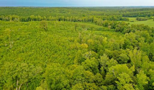 Photo #33 of Sweden Fork Creek Lane, Chatham, VA 201.0 acres