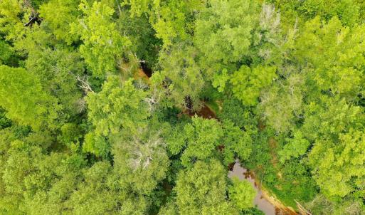 Photo #34 of Sweden Fork Creek Lane, Chatham, VA 201.0 acres