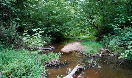 Photo #35 of Sweden Fork Creek Lane, Chatham, VA 201.0 acres