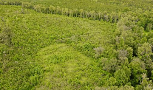 Photo #36 of Sweden Fork Creek Lane, Chatham, VA 201.0 acres
