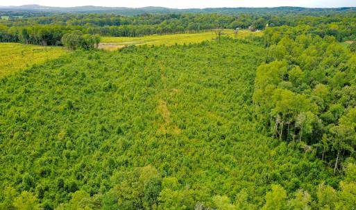 Photo #37 of Sweden Fork Creek Lane, Chatham, VA 201.0 acres