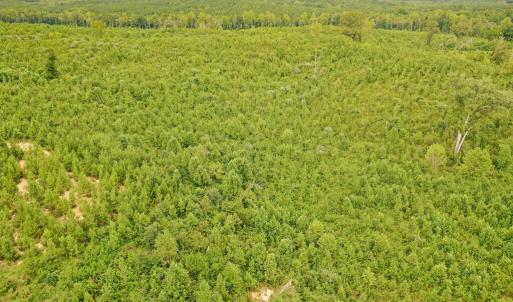 Photo #40 of Sweden Fork Creek Lane, Chatham, VA 201.0 acres