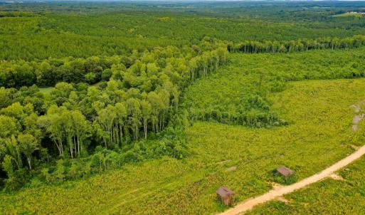 Photo #5 of Sweden Fork Creek Lane, Chatham, VA 201.0 acres