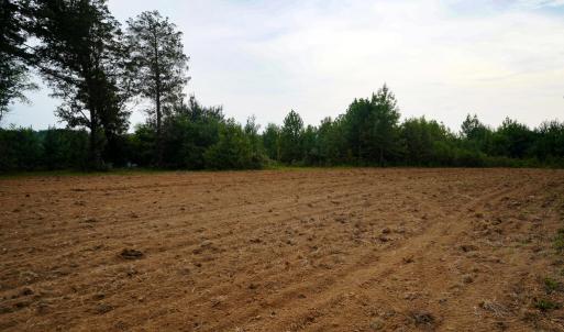 Photo #9 of Sweden Fork Creek Lane, Chatham, VA 201.0 acres