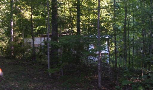 View of wooded lot