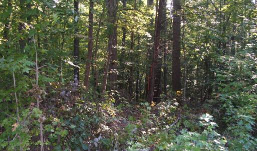 View of property