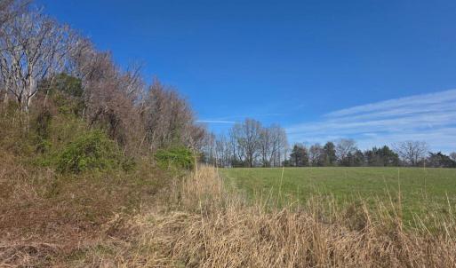 Photo #11 of Aspen Wall Rd, Brookneal, VA 115.3 acres