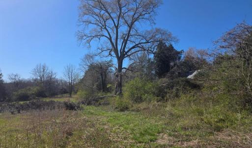 Photo #12 of Aspen Wall Rd, Brookneal, VA 115.3 acres