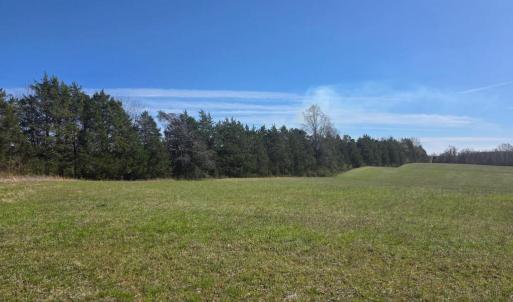 Photo #13 of Aspen Wall Rd, Brookneal, VA 115.3 acres