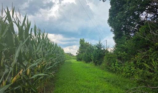 Photo #3 of Aspen Wall Rd, Brookneal, VA 115.3 acres