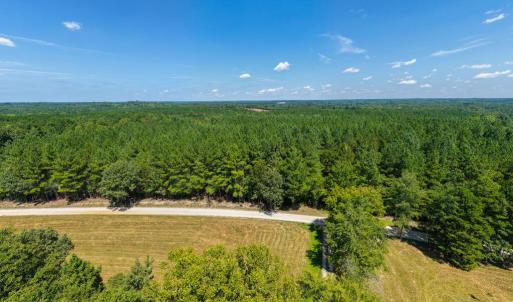 Photo #10 of Davis Lowground Road, Keysville, VA 10.3 acres