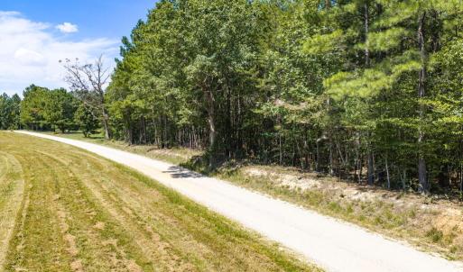 Photo #11 of Davis Lowground Road, Keysville, VA 10.3 acres