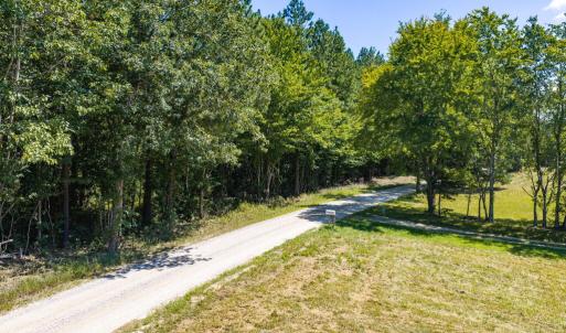 Photo #12 of Davis Lowground Road, Keysville, VA 10.3 acres