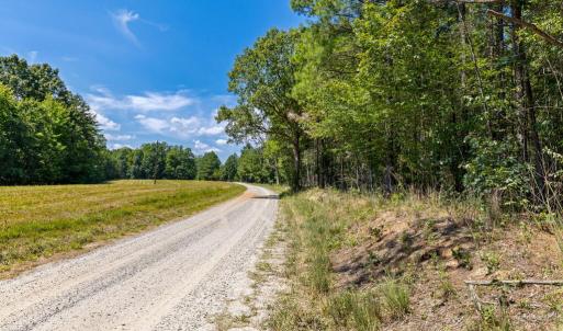 Photo #13 of Davis Lowground Road, Keysville, VA 10.3 acres