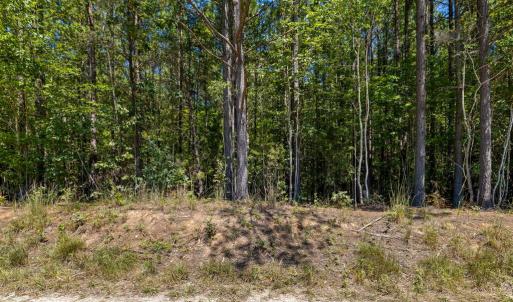 Photo #15 of Davis Lowground Road, Keysville, VA 10.3 acres