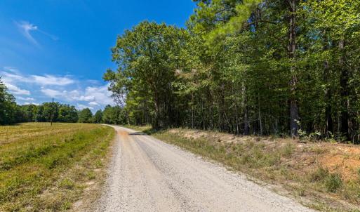 Photo #16 of Davis Lowground Road, Keysville, VA 10.3 acres