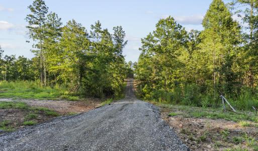 Photo #11 of Gully Tavern Rd, Rice, VA 9.0 acres