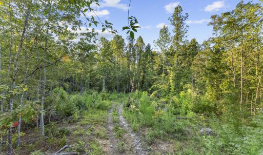 Photo #12 of Gully Tavern Rd, Rice, VA 9.0 acres