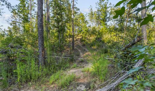 Photo #13 of Gully Tavern Rd, Rice, VA 9.0 acres