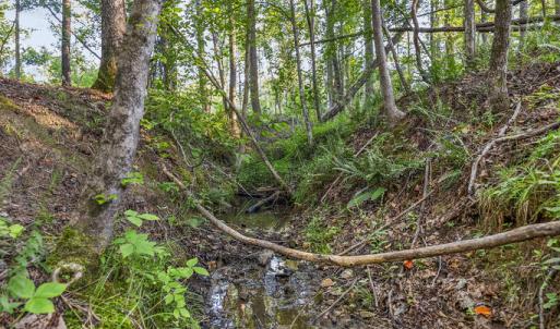 Photo #14 of Gully Tavern Rd, Rice, VA 9.0 acres