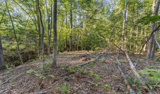 Photo #15 of Gully Tavern Rd, Rice, VA 9.0 acres