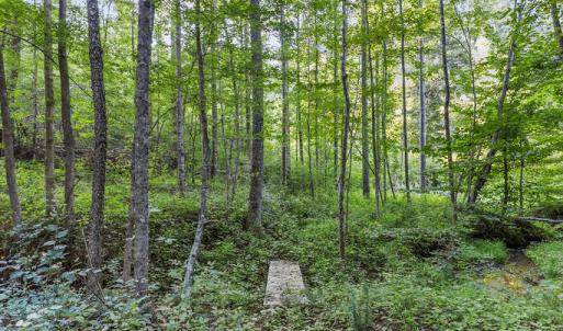 Photo #16 of Gully Tavern Rd, Rice, VA 9.0 acres
