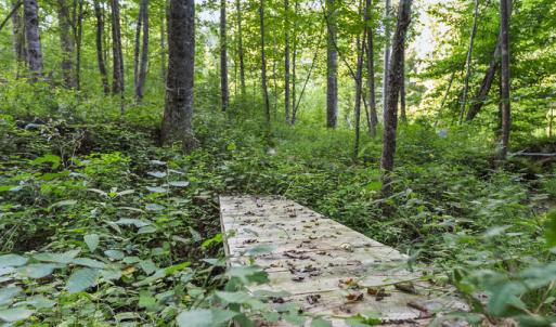 Photo #17 of Gully Tavern Rd, Rice, VA 9.0 acres