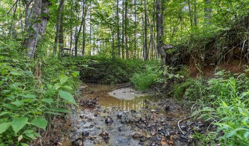 Photo #18 of Gully Tavern Rd, Rice, VA 9.0 acres