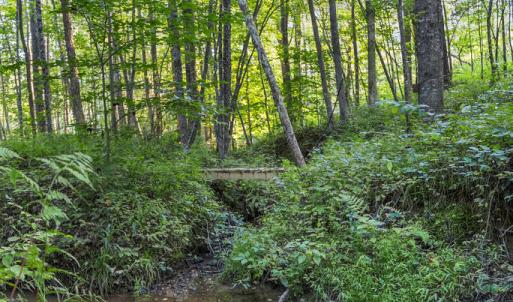 Photo #19 of Gully Tavern Rd, Rice, VA 9.0 acres