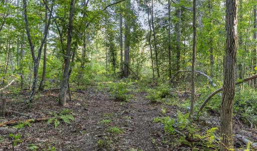 Photo #20 of Gully Tavern Rd, Rice, VA 9.0 acres