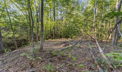 Photo #15 of Gully Tavern Rd, Rice, VA 9.0 acres