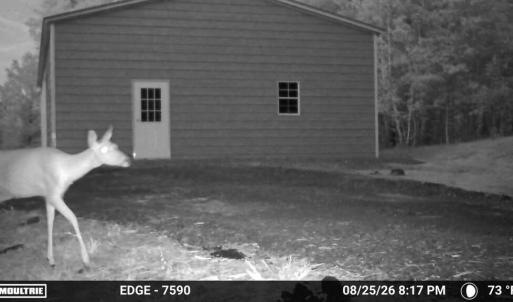 Photo #26 of Gully Tavern Rd, Rice, VA 9.0 acres