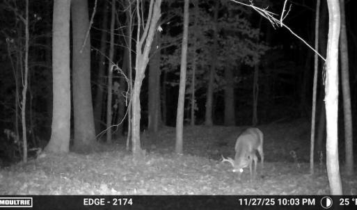 Photo #28 of Gully Tavern Rd, Rice, VA 9.0 acres